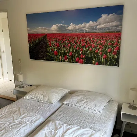 Clementine With Sauna In Vakantiehuis Ermelo